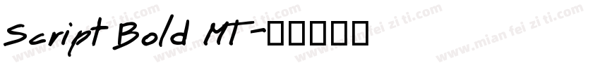 Script Bold MT字体转换